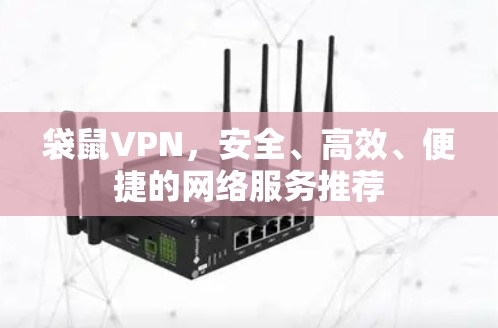 袋鼠VPN，安全、高效、便捷的网络服务推荐