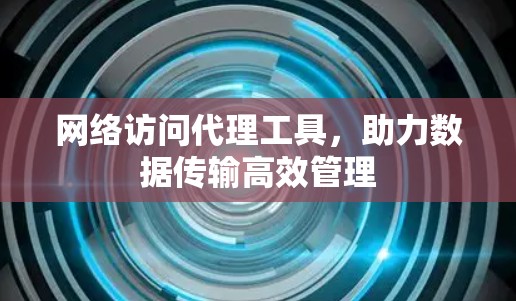 网络访问代理工具，助力数据传输高效管理