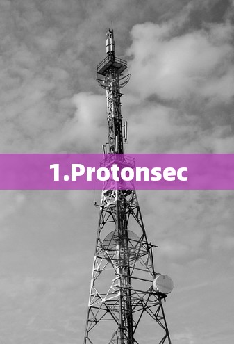 1.Protonsec 1.Protonsec