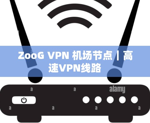 ZooG VPN 机场节点|高速VPN线路